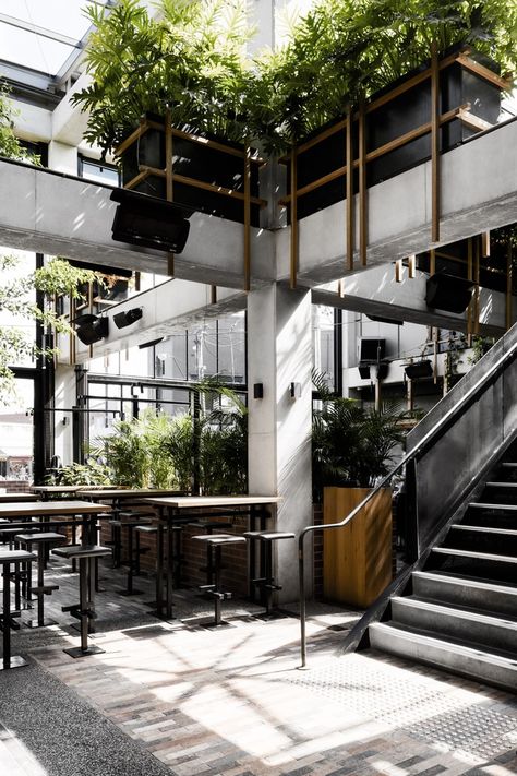 Gallery of Village Belle Hotel / Techne Architecture + Interior Design + TILT Industrial Design - 11 Industrial Hotel Design, Industrial Design Cafe, Scandi Industrial Interior, Industrial Rooftop, Industrial Hotel, Commercial Interior Architecture, Concrete Loft, Industrial Loft Design, Atrium Design