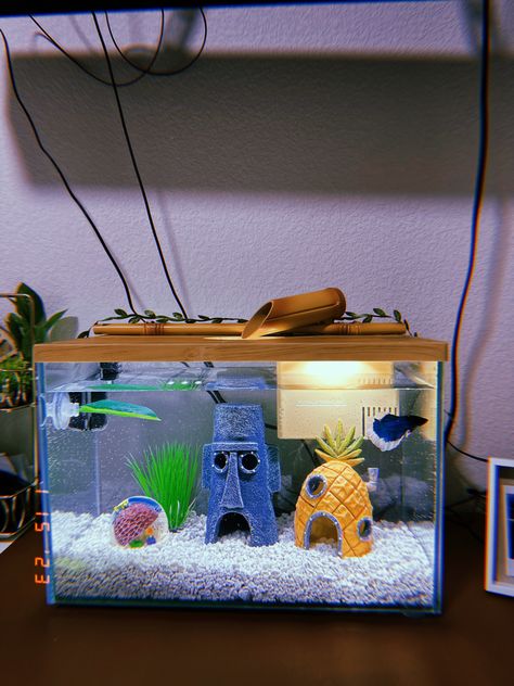 Spongebob Fish Tank Ideas, Fish Tank Decorations Ideas, Room Fish Tank Ideas, Fish Pet Aesthetic, Mini Fish Tank Ideas, Spongebob Aquarium, Fish Tank House, Dorm Fish Tank, Fish House Ideas