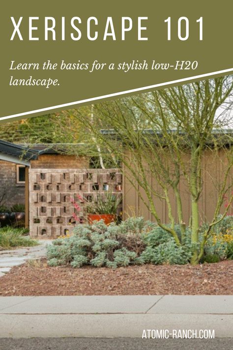 Balancing a beautiful yard that is also mindful of water use can sound like a tall order. Luckily, this landscape method emphasizes infrequent irrigation, native plants and other low-water choices. See more at atomic-ranch.com Zero Scape, Mid Century Modern Landscaping, Rock Yard, Atomic Ranch, Desert Climate, Beautiful Yards, Drought Tolerant Plants, Shade Plants, Modern Landscaping