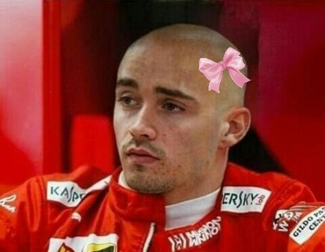 Charles leclerc pelon coquette   IG: 0.064_hyun Charles Leclerc Memeable Face, Charles Meme, F1 Cursed, F1 Track, F1 Funny, Funny F1, F1 Meme, Expensive Dogs, F1 Motorsport