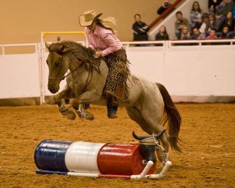 Professional's Choice endorser Wylene Wilson demonstrates some impressive training at the Mustang Makeover competition. Barn Designs Ideas, Mustang Training, Barrel Racing Photography, Mustang Makeover, Horse Obstacles, Horse Adventure, Western Pleasure Horses, Amazing Horses, Equestrian Events