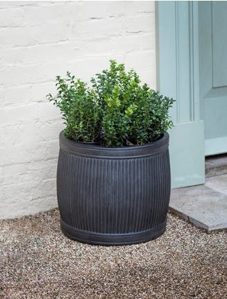 Pots | Planters | Containers | Troughs | Garden Trading Lavender Bush, The Garden Room, Black Planters, Rectangular Planters, Clay Planters, Wash Tubs, Outdoor Planter, Outdoor Pots, British Countryside