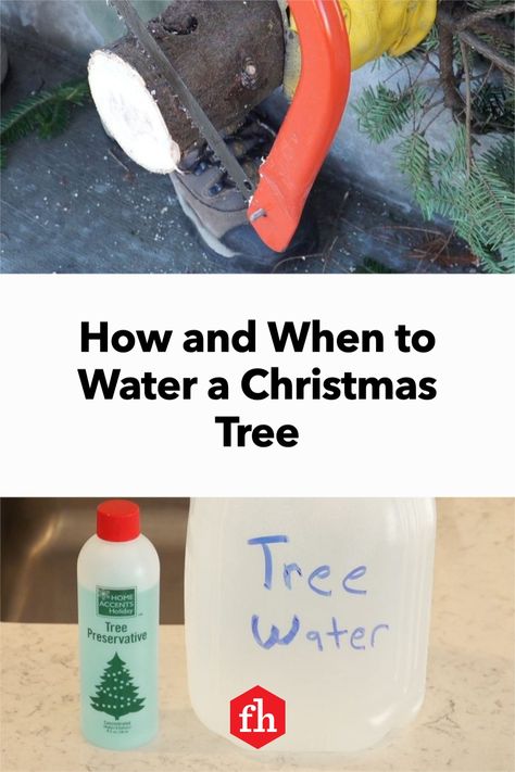 Diy Snow On Christmas Tree, Christmas Decor Ideas With Water Beads, Water Bottle Christmas Tree, Christmas Tree Water Solution, How To Keep A Christmas Tree Alive, Christmas Tree Preservative, Real Xmas Trees, Christmas Tree Water, Fresh Cut Christmas Trees