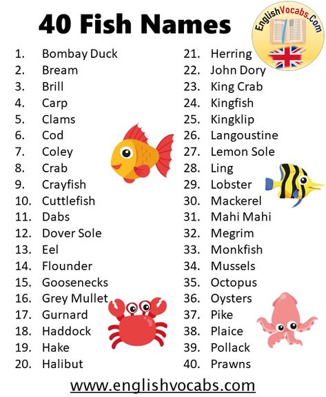 Beta Fish Names, Fish Names, Funny Fish, Names List, Beta Fish, King Crab, Funny Names, Puffer Fish, Name List