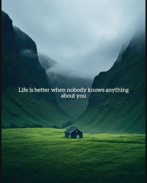 In the quiet moments, when no one knows your story, that’s where true peace resides. A life untold is a life unbothered. #boroughkings #SolitudeState #UnseenJourney #QuietLife #LiveUnnoticed #PeacefulMind #UntoldStories #SimpleLiving #HiddenInPlainSight #NatureWhisper #LifeUnplugged #LowkeyLiving #SilentStrength Quiet Quotes, Silence Quotes, Lessons Learned In Life, Quiet Moments, The Quiet, Lessons Learned, Simple Living, Low Key, Your Story