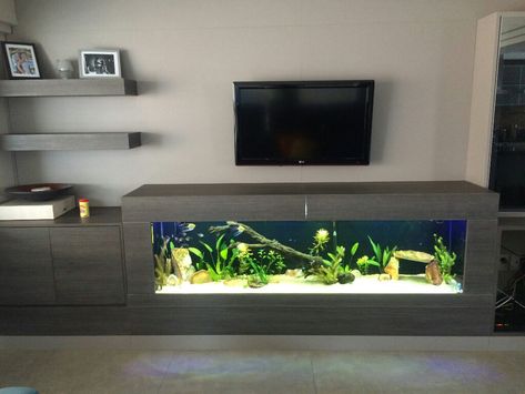 Aquarium tv unit Aquarium Coffee Table, Wall Aquarium, Fish Tank Stand, Fish Tank Design, Tank Stand, Aquarium Stand, Fish Tank Ideas, Home Aquarium, Aquarium Ideas