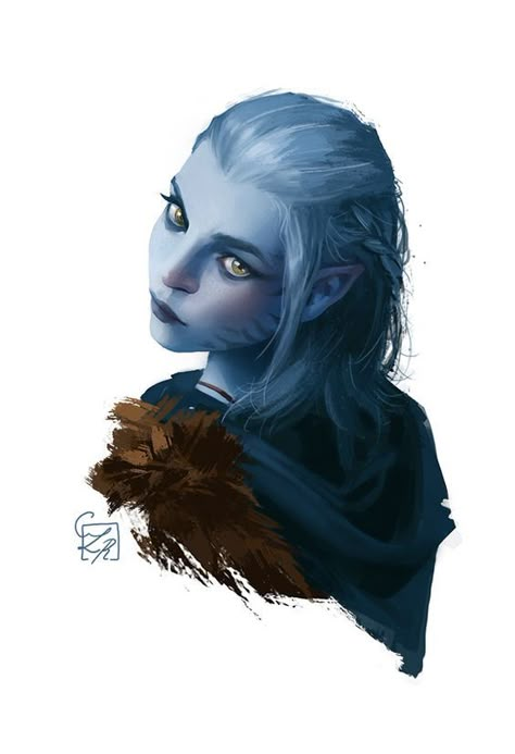 Weiblicher Elf, Icewind Dale, Pillars Of Eternity, Monster Girls, Heroic Fantasy, Fantasy Portraits, Fantasy Races, Dungeons And Dragons Characters, Dnd Art