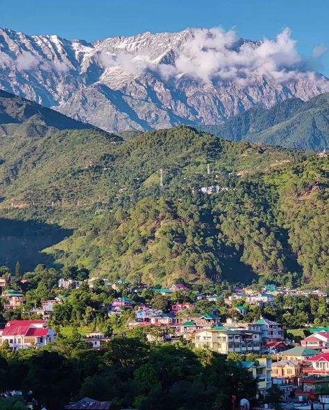 Dharamshala Himachal Photography, Upsc Motivation Wallpaper Hd, Zine Project, Upsc Motivation, Daaru Party Pic, Party Pic, Cafe Pictures, Army Look, Mountain Aesthetic