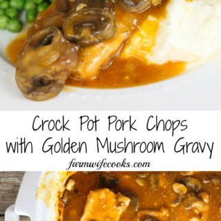 Crock Pot Pork Chops with Golden Mushroom Gravy - The Farmwife Cooks Mushroom Gravy Pork Chops, Mushroom Soup Pork Chops, Slow Cooker Pork Chops Recipes, Crock Pot Pork Chops, Golden Mushroom, Golden Mushroom Soup, Sausage Crockpot, Crock Pot Pork, Barbecue Pork Ribs