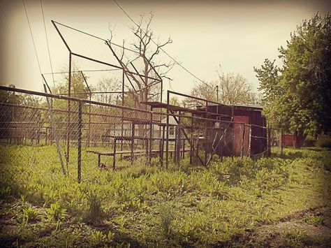 Abandoned baseball field, rural Americana.  Batter up! Wonder how many games were played there? Abandoned Field, Babe Ruth, Old Buildings, Baseball Field, How Many, Wonder, Baseball, Old Building