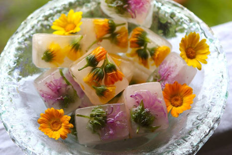 Beat the heat this summer with these stunning floral ice cubes. Loaded with beneficial herbs to help make the most of your sipping time! Learn more in our Online Herbal Immersion Program! Flower Ice Cubes, Floral Ice, Pastel Cupcakes, Flower Ice, Summer Garden Party, Ice Cube Trays, Edible Flowers, Ice Cubes, Flower Child