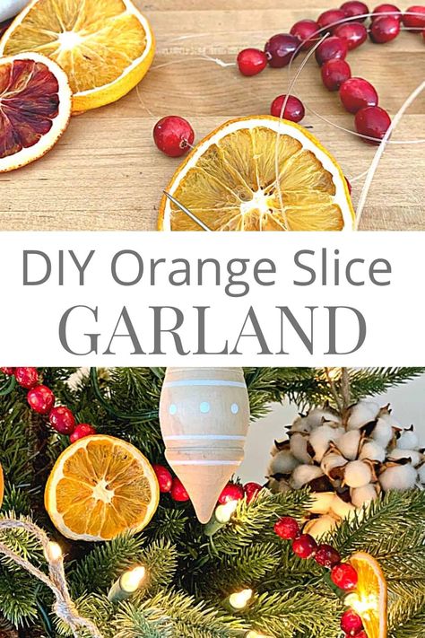 DIY Christmas Garland with Dried Oranges and Cranberries - How to make a DIY dried fruit garland with orange slices and cranberries for your Christmas tree. Diy Dried Fruit, Dried Fruit Garland, Orange Slice Garland, Diy Christmas Tree Garland, Fruit Garland, How To Make Garland, Diy Christmas Garland, Christmas Wreaths & Garlands, Orange Christmas