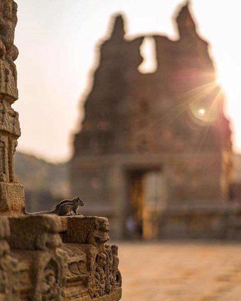 10 Best Things to Do in #Hampi #Karnataka Indian Temple Photography, Temple Aesthetic, Hampi Karnataka, Ajanta Caves, Nature Photographers, Temple Ruins, Temple Photography, Temple Architecture, Hampi