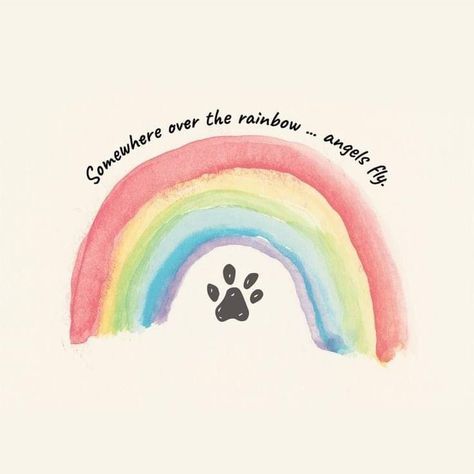 Somewhere Over The Rainbow, Dog Rocks, Watercolor Rainbow, Dog Mama, Happy Birthday Images, Dogs Of The World, The Message, Birthday Images, Over The Rainbow