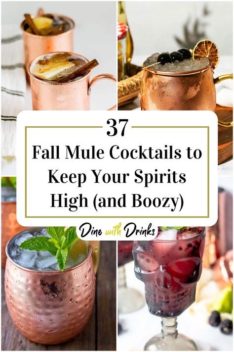 Collage of 4 fall mule cocktails. Different Moscow Mule Recipes, Big Batch Moscow Mule Recipe, Autumn Moscow Mule, Autumn Mule Recipe, Fall Moscow Mule Drinks, Fall Mules Cocktail, Halloween Mule Cocktail, Moscow Mule Flavors, Thanksgiving Mule Recipe