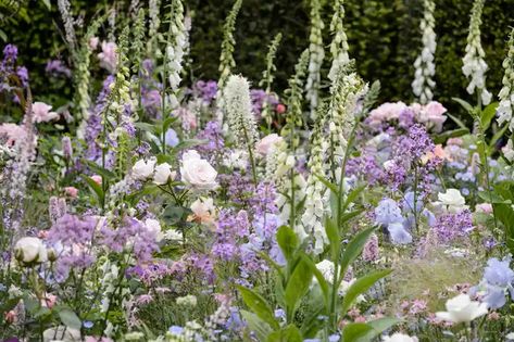 Cottage Garden Borders, Bog Garden, Shade Loving Perennials, Woodland Plants, Jungle Gardens, Herbaceous Border, Cottage Garden Design, Cottage Garden Plants, English Cottage Garden