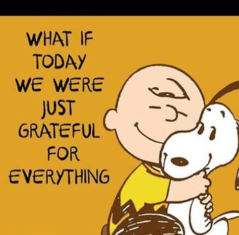 50 Gratitude Memes To Share When You're Feeling Thankful Thankful Quotes Life, Gratitude Quotes Thankful, Happy Thanksgiving Pictures, Charlie Brown Quotes, Gratitude Day, Happy Thanksgiving Images, Thanksgiving Pictures, Thankful Quotes, Feeling Thankful