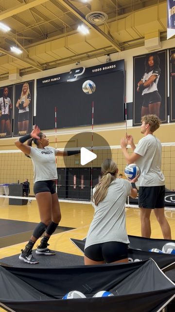 Purdue Volleyball on Instagram: "No letting up. 🔁" Purdue Volleyball, Volleyball Workouts, Cute Ferrets, Volleyball Drills, August 9, Drills, Volleyball, On Instagram, Instagram