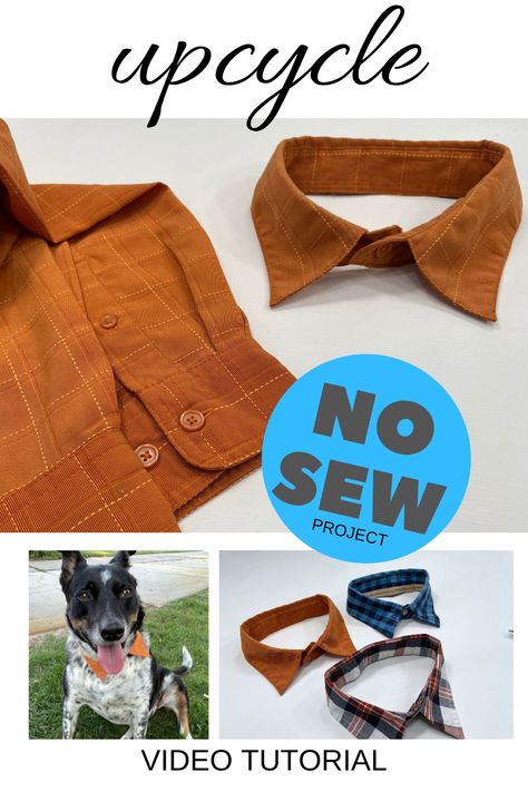 Diy dog dress shirt collar - NO SEW Tshirt To Dog Shirt Diy, Diy Dog Dress No Sew, Diy Dog Shirt From Tshirt No Sew, Dog Shirt Pattern Free, Diy Dog Clothes Easy, Dog Clothing Diy, Dog Shirts For Dogs, Dog Shirt Diy, Diy Dog Clothes