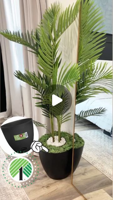 Emma Villaneda on Instagram: "DIY dollar tree faux 🪴 PLANT upgrade! What do you think of this idea?! And are you a fellow faux plant mom? Let’s be friends. I realized having young kids and real plants was too much for this time in my life, maybe one day haha. • • • • • #diy #plant #ikea #homedecor #homehacks #planthacks #dollartree #decorating #organization #organizationideas #dollartree #hack #homehacks #home #homedesign #diyproject #tutorial #hacks" Diy Fake Plants, Aesthetic Sounds, Fake Palm Tree, Jungle Theme Birthday Party, Tree Faux, Dollar Tree Organization, Jungle Theme Birthday, Artificial Plants Indoor, Plant Crafts