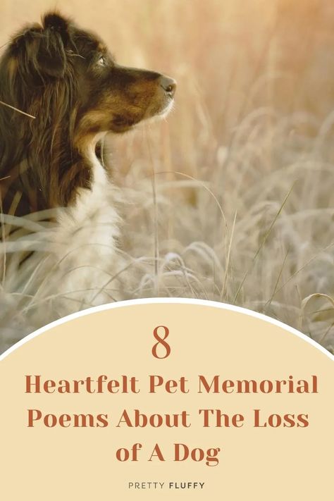 Dog Passing Poem, Pet Sympathy Quotes, Dog Poetry, Pet Poems, Pet Loss Dog, Pet Psychic, Miss My Dog, Dog Poems, Memorial Ideas