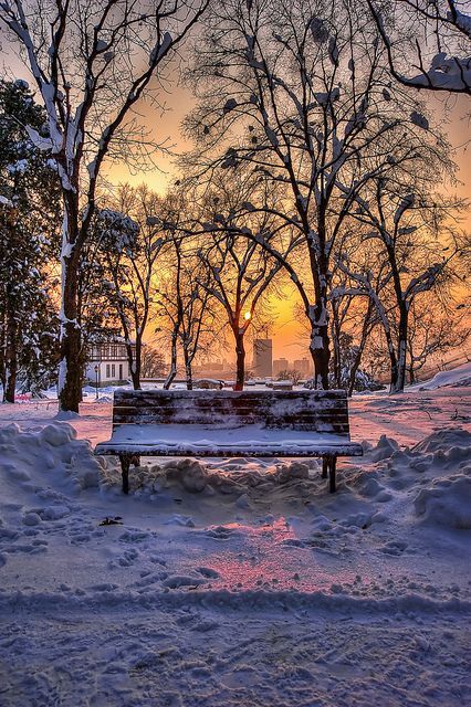 ~~Bench in a park in winter ~ picturesque winter sunset, Belgrade, Serbia by Uros78~~ I Love Winter, Winter Sunset, Sun Sets, Winter Magic, Winter Scenery, Winter Beauty, Snow Scenes, Winter Pictures, Winter Wonder