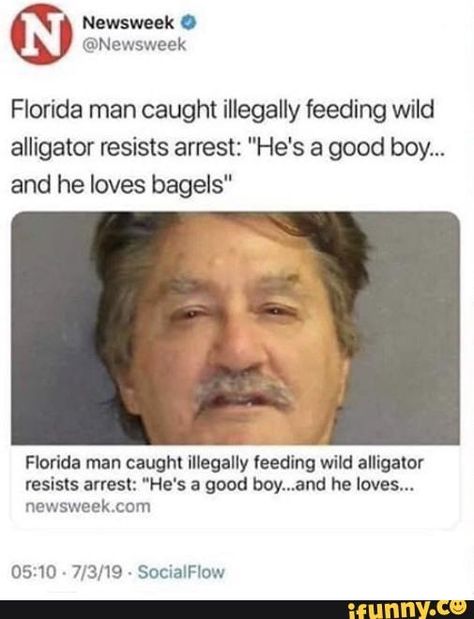 Florida man caught illegally feeding wild alligator resists arrest: "He’s a good boy... and he loves bagels" Florida man caught illegally feeding wild alligator resists artes:: “He's a good buy...and he loves". newsweek.com 05:10 . 7/3/19 ~ SocialFIow – popular memes on the site iFunny.co #animals #animalsnature #florida #man #bad #caught #illegally #feeding #wild #alligator #resists #hes #good #boy #loves #bagels #buy #com #socialfiow #pic Funny Florida Man, Florida Man Funny, Florida Man Meme, Florida People, Florida Men, Florida Funny, Funny Headlines, Florida Man, Oui Oui