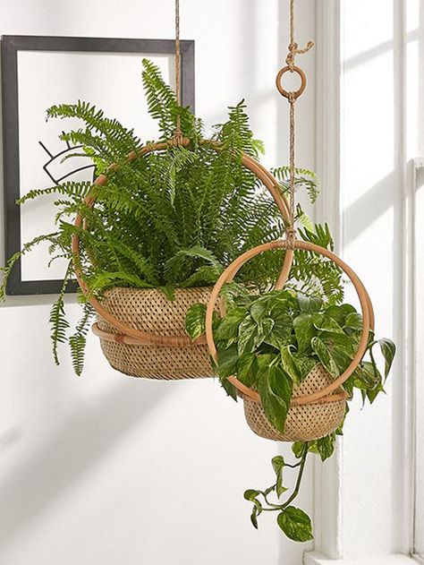 Rad Hanging Planters For When You’re Sick of Macrame Pot Gantung, Hanging Plants Diy, Rattan Planters, Hanging Rattan, Bamboo Planter, Vertical Garden Design, Window Plants, نباتات منزلية, Hanging Plants Indoor