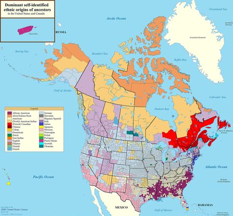 Ethnic ancestry map of the US & Canada Ancestry Map, Interesting Maps, Indian American, Imaginary Maps, Infographic Map, United States History, Historical Maps, Us Map, Sociology