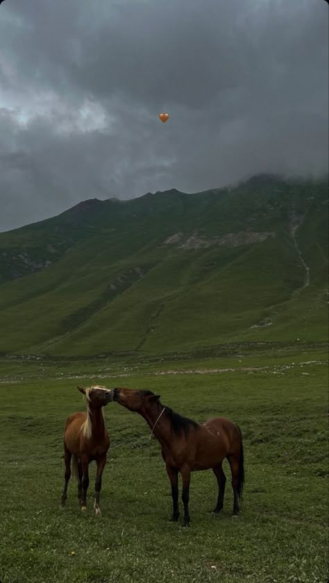 Horse And Mountain Wallpaper, Phone Wallpaper Horse, Horse Iphone Wallpaper, Horse Wallpaper Aesthetic, Horse Wallpaper Iphone, Wallpaper Horse Aesthetic, Horses Background, Horse In Desert, Horses Aesthetic