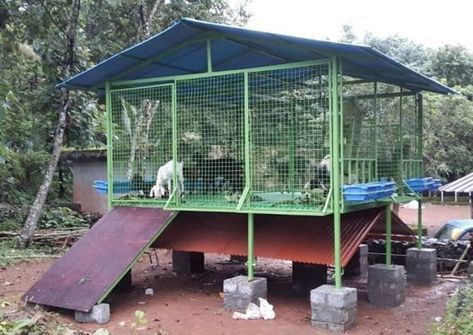 Goat shed Goat Cage Ideas, Small Cow Shed Design, Goat Farming Ideas, Goat Shelters, Cow Shed Design, Shed Design Plans, Goat Shed, Goat Shelter, Small Goat