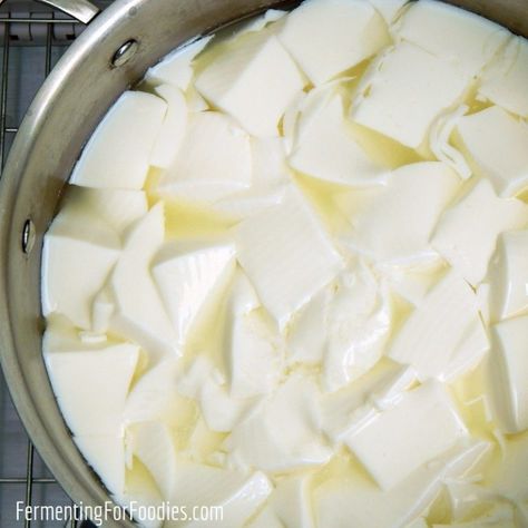 Simple and Delicious Kefir Cheese - Fermenting for Foodies Rennet Cheese, Cheese Recipes Homemade, Cheese Making Recipes, Cheese Mold, Cheese Curds, Homemade Cheese, Best Cheese, Creamy Cheese, Soft Cheese