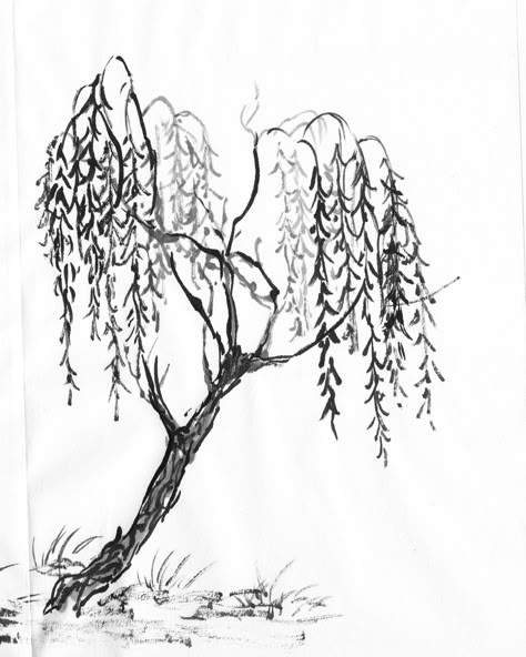 WillowTree&tien1 WillowTree&tien2 WillowTree&tien4 WillowTree&tien3 Willow Tree Sketch, Willow Tree Drawing, Cherry Tree Tattoos, Tree Line Drawing, Cherry Blossom Drawing, Tree Tattoo Back, Branch Drawing, Oak Tree Tattoo, Willow Tree Tattoos