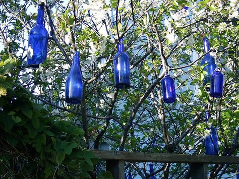 I've seen movies where this was done. I always thought it was beautiful for some reason. Would be really cool to put tea lights in them and light them at night time. Painted Tires, Haint Blue, Hanging Witch, Bottle Trees, Houses Of The Holy, Blue Ceilings, Bottle Tree, Folk Magic, Beaufort Sc