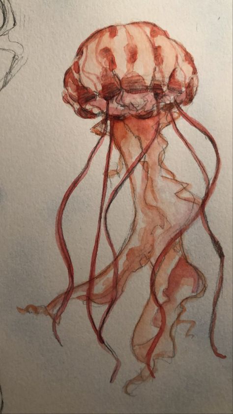 Pencil and watercolour sketch of a red and orange jellyfish Childhood Drawing, Fish Sketch, Jellyfish Painting, Jellyfish Drawing, Free Rein, Jellyfish Art, Fish Drawings, My Imagination, Sketchbook Art Inspiration