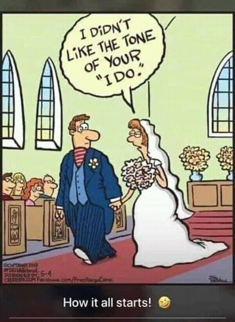 Wedding Jokes, Party Jokes, Bizarro Comic, Far Side Comics, Far Side, And So It Begins, Frases Tumblr, Funny Jokes For Adults, Seriously Funny