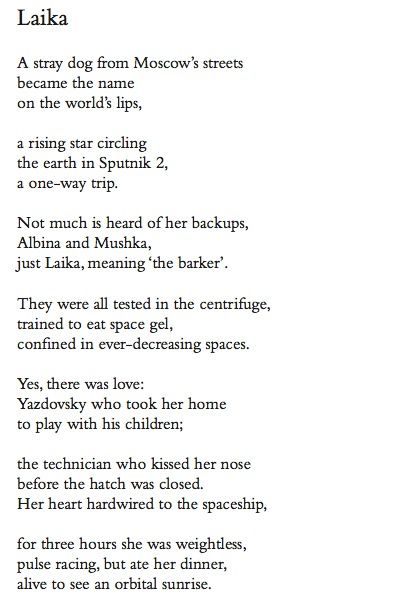 Friday Poem — ‘Laika’, Claire Williamson | Seren Books Blog Laika Tattoo, Laika Dog, Space Dogs, Dog Poetry, First Dog, Great Poems, Life Comics, Crimson Peak, Funny Feeling