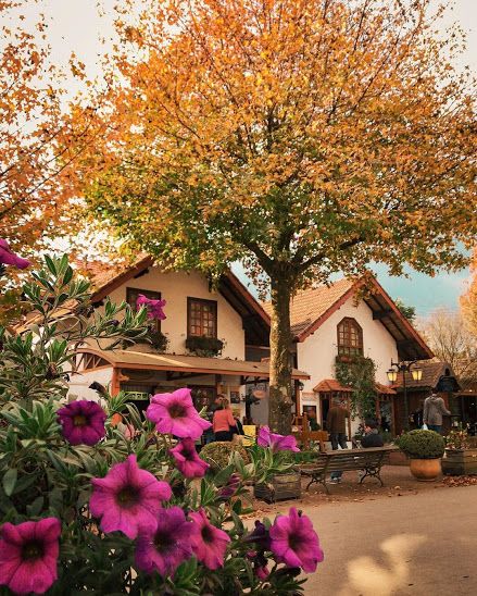 Monte Verde, Monteverde, February 3, Travel Dreams, Beautiful Landscapes, Beautiful Nature, Life Is Good, Brazil, Dream House