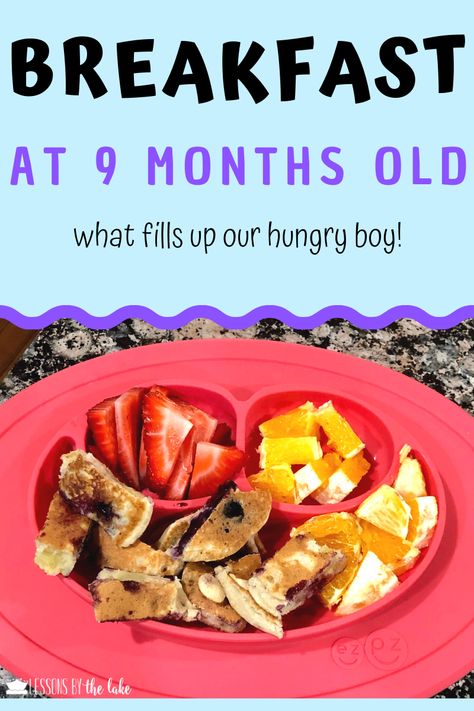 Here I share finger food meal ideas that I used with my 9 month old boy! Ideas for breakfast lunch and dinner are shared! #babyfood #babyledweaning #fingerfood #babymeals 9 Month Baby Food, Whole Wheat Waffles, Baby Breakfast, Whole Wheat Pancakes, Easy Baby Food Recipes, Healthy Baby Food, Baby Finger Foods, Baby Eating, Baked Fish