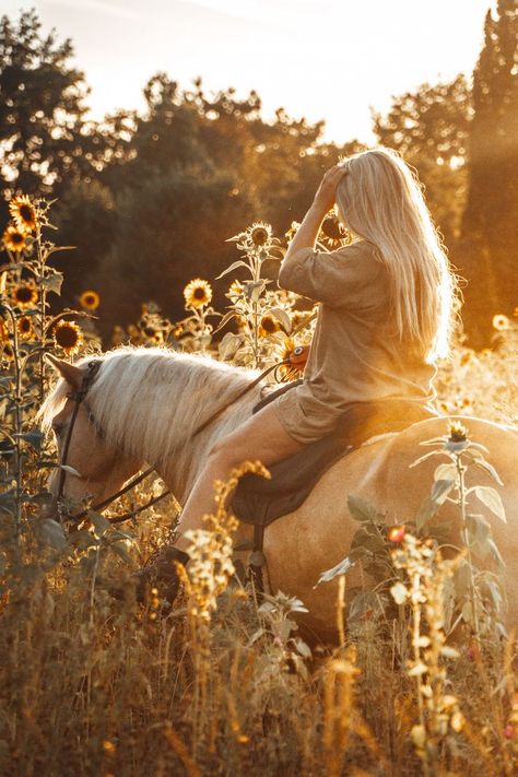 Horses with a model in a sunflower field Horse Photography Poses, Sunflower Field, Grad Pics, Sunflower Fields, Horse Photography, Country Life, Farm Life, Indiana, Photography Poses