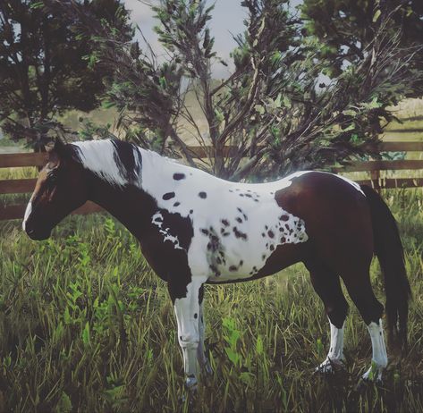 Extinct breed sadly but beautfiul horse. Rdr Horses, Red Chestnut Arabian Rdr2, Rdr2 Horse Breeds, Rdr2 Horses, Blood Bay Horse, Rdr2 Online Horses, Medieval Horse Saddle, Red Dead Online, Horse Games