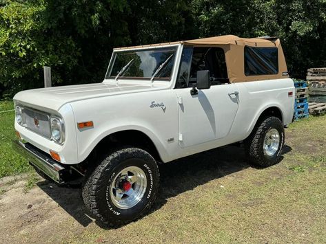 International Scout 800, Scout For Sale, Scout Truck, Scout 800, Ih Scout, International Scout Ii, Expeditionary Force, Scout Ii, Dream Trucks