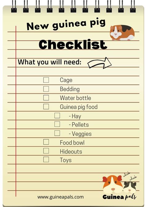 Guinea Pig Checklist, Guinea Pig Care Chart, Cute Guinea Pig Cage Ideas, Guinea Pig Supplies, Guinea Pig Information, Guine Pig, Animal Farming, Guinea Pig Clothes, Diy Guinea Pig Cage