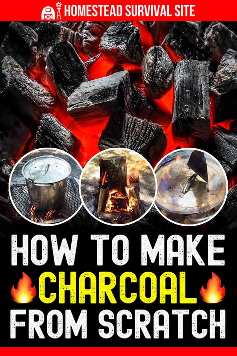 Canning Recipes For Beginners, Beginner Canning, Easy Canning Recipes, Diy Charcoal, Survival Skills Emergency Preparedness, Easy Canning, Bushcraft Shelter, Wholesome Meals, Reduce Your Carbon Footprint