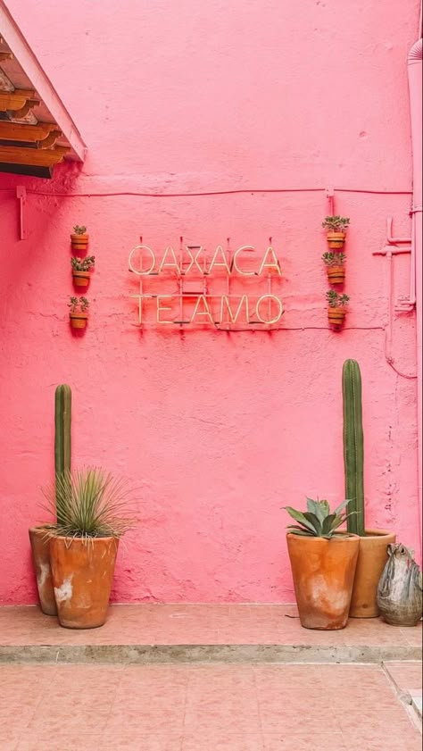 Mexican Vision Board, Oaxaca Quotes, Pink Mexican Aesthetic, Oaxaca Mexico Aesthetic, Oxacana Mexico, Oaxaca Design, Oxaca Mexico, Oaxaca Mexico Travel, Mexican Restaurant Decor