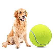 Dog Tennis Ball, Kids Tennis, Dog Toy Ball, Dog Ball, Indoor Sports, Dog Biting, Felt Material, Dog Teeth, Tennis Balls