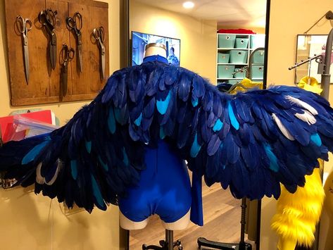 Community Foundation for the Fox Valley Region | Birds of a feather: Costume helps Makaroff Youth Ballet soar Bird Costume Women, Blue Bird Costume, Feather Costume, Feather Outfit, Carnival Ideas, Fair Outfits, Bird Costume, Cosplay Inspo, Ren Fair