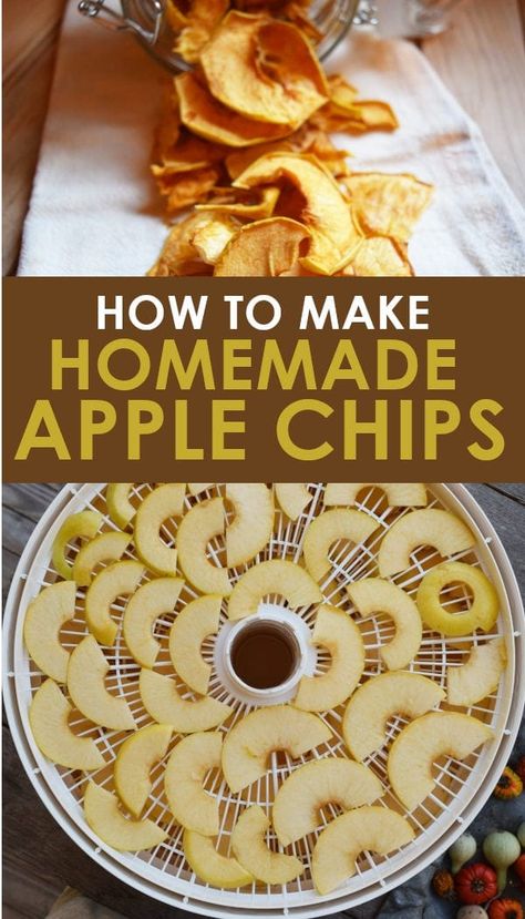 Dehydrating Apples, Homemade Apple Chips, Dehydrator Recipes Fruit, Dehydrated Apples, Cinnamon Apple Chips, Food Dehydration, Dehydrating Food, Apple Snacks, Dehydrated Foods