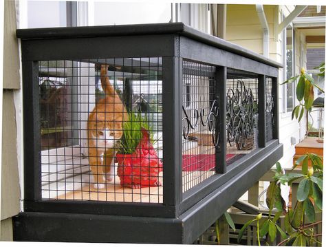 Diy Cat Enclosure, Katt Diy, Catio Ideas, Chat Diy, Cat Enclosures, Cat Patio, Outdoor Cat Enclosure, Cat Run, Cat Window