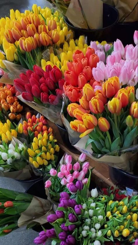 Boquette Flowers, Nothing But Flowers, Flower Therapy, Beautiful Bouquet Of Flowers, Luxury Flowers, Spring Aesthetic, Tulips Flowers, Beautiful Bouquet, Flower Market